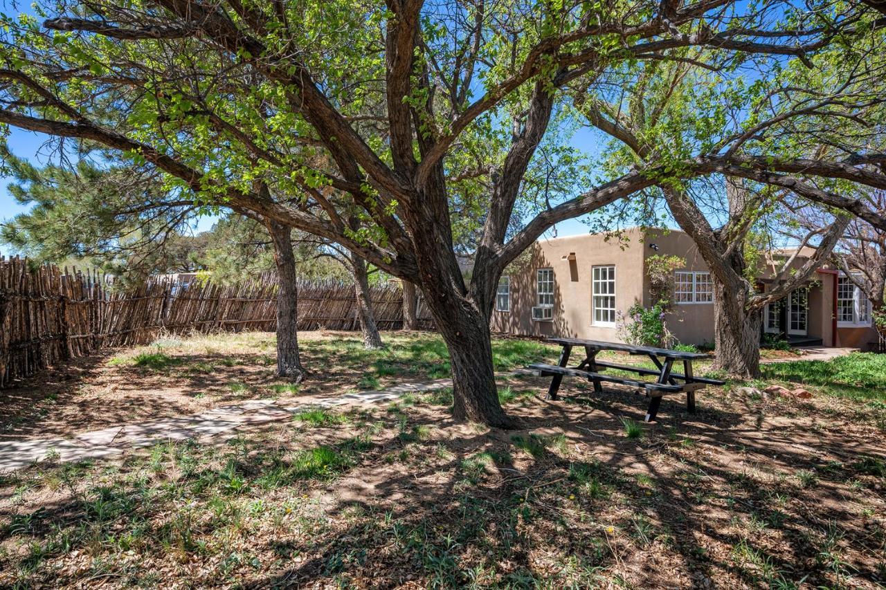 Casa Tatiz • Privacy In A Southwestern Gem