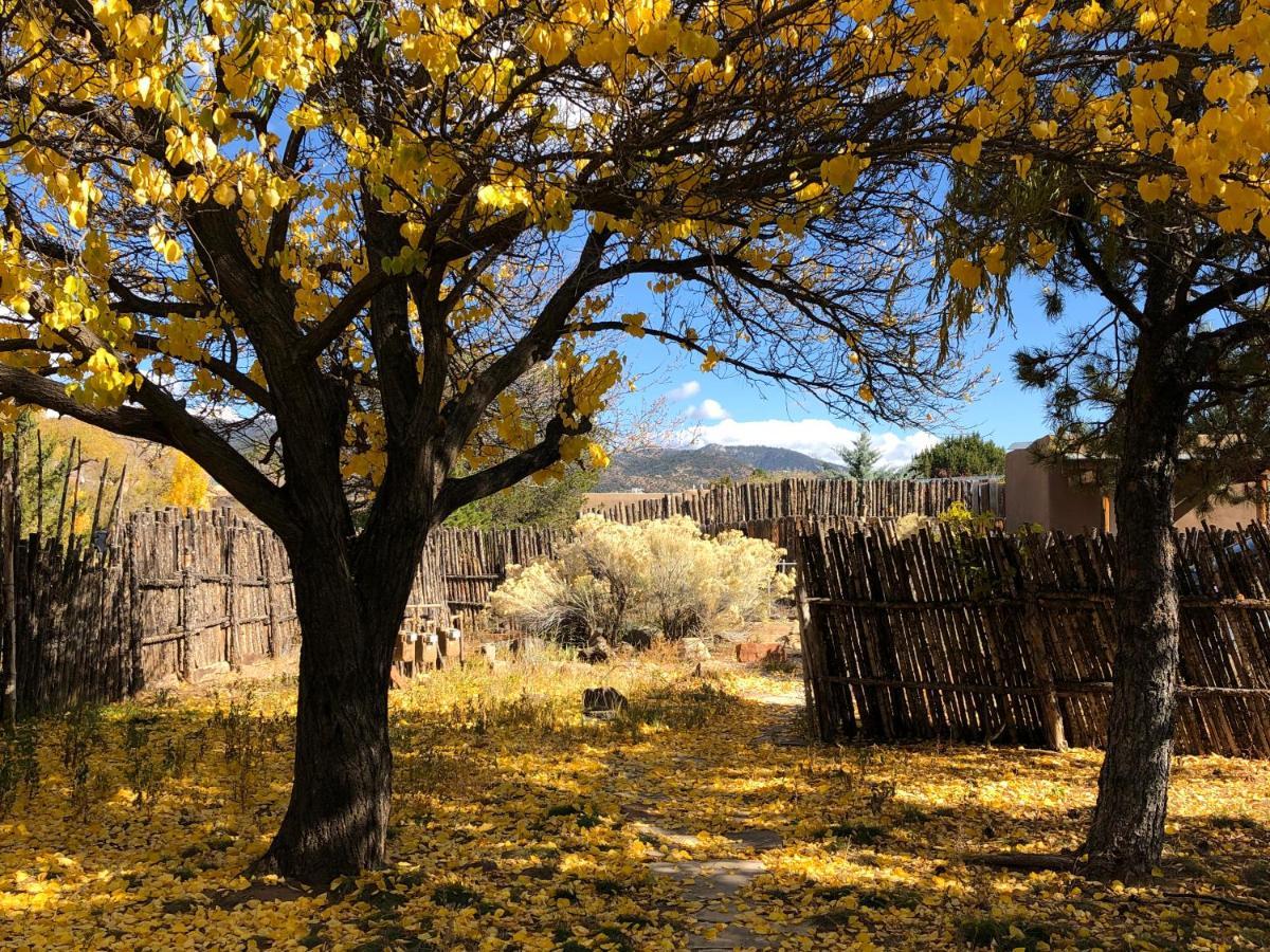 Сasa de vacaciones Casa Tatiz • Privacy In A Southwestern Gem